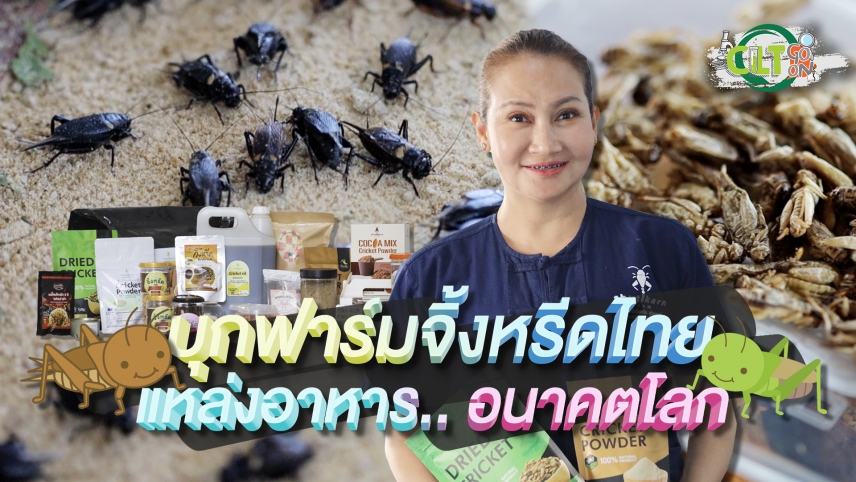 CLT Go On EP 11 : บุกฟาร์มจิ้งหรีดไทย แหล่งอาหารอนาคตโลก