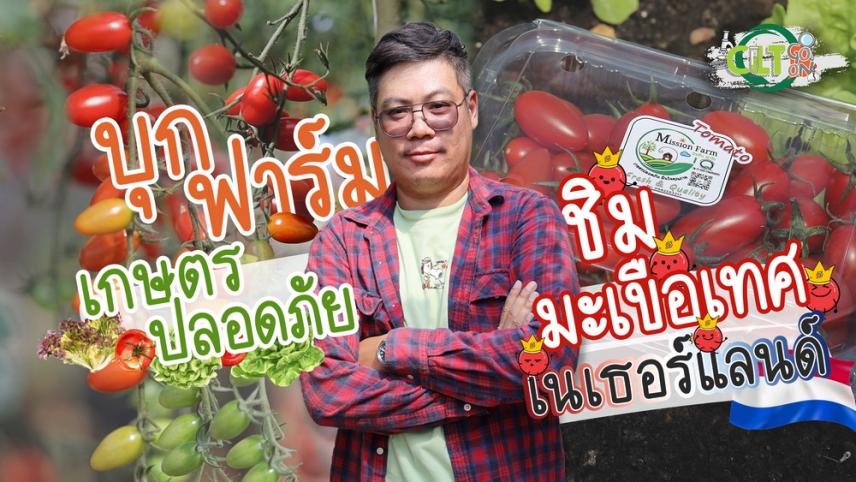 CLT Go On EP8 : บุกฟาร์มเกษตรอินทรีย์ ชิมมะเขือเทศเนเธอร์แลนด์